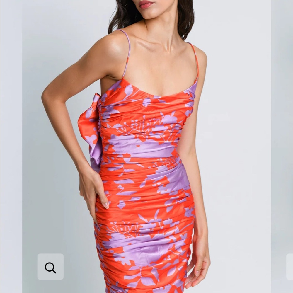 HUTCH Red and Purple Floral Ruched Dress